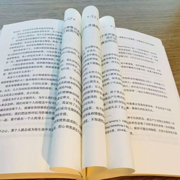 🌟正版书籍🌟《