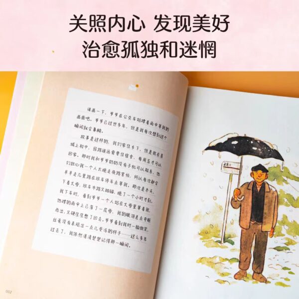 🌟正版书籍🌟《